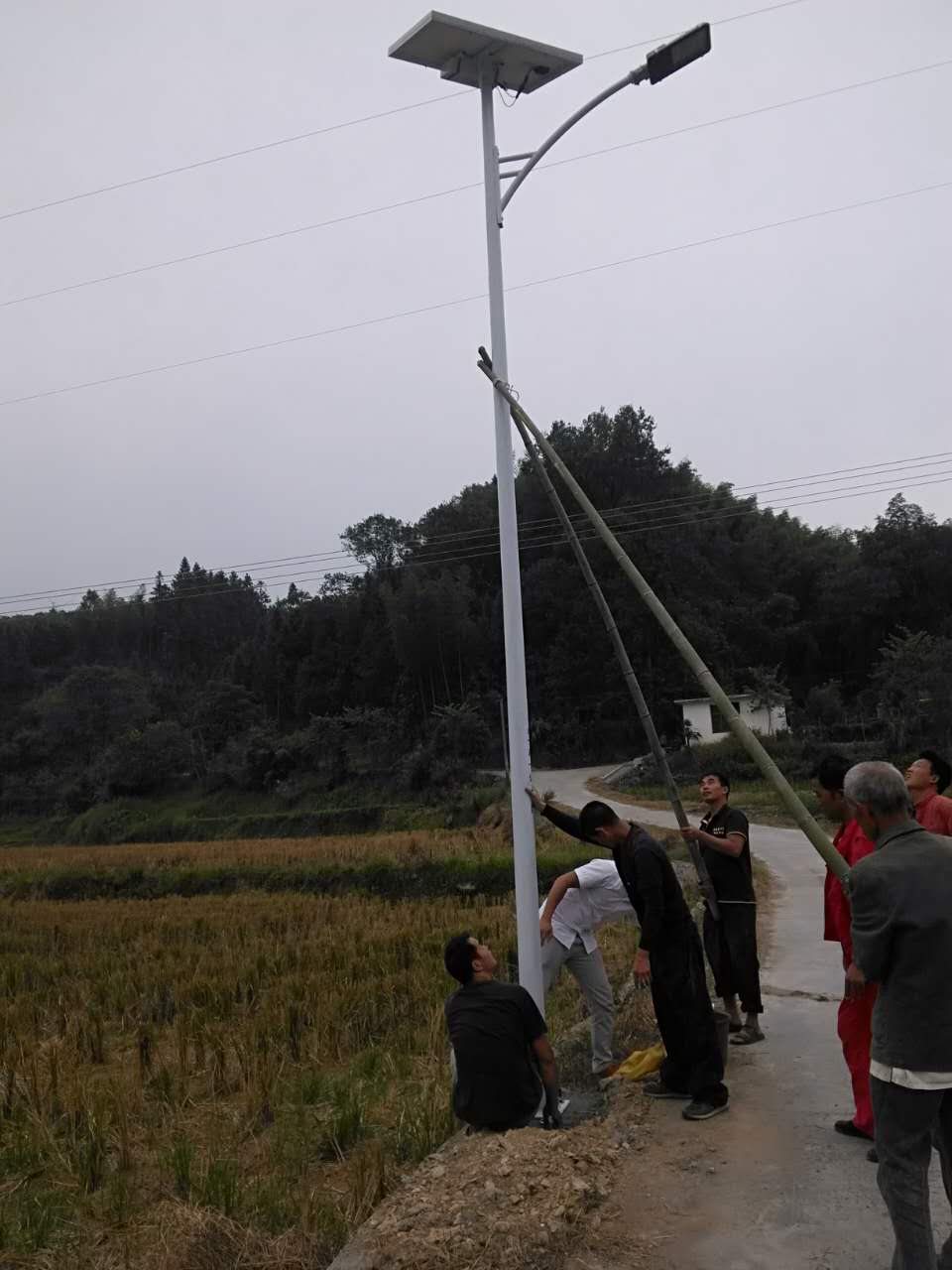 太阳能路灯